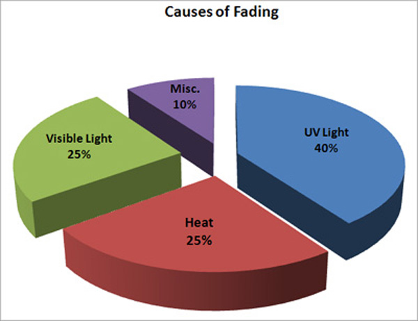 Four Causes of Sun Damage